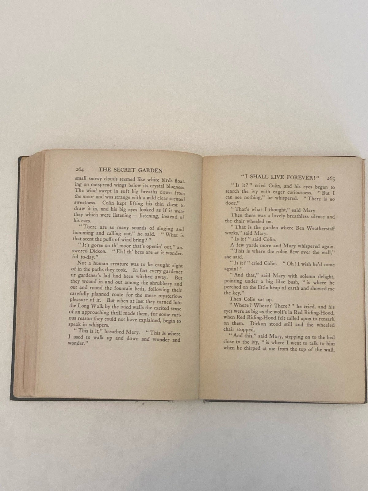 2nd Edition Secret Garden Frances Hodgson Burnett 1911 A Classic Book Vintage