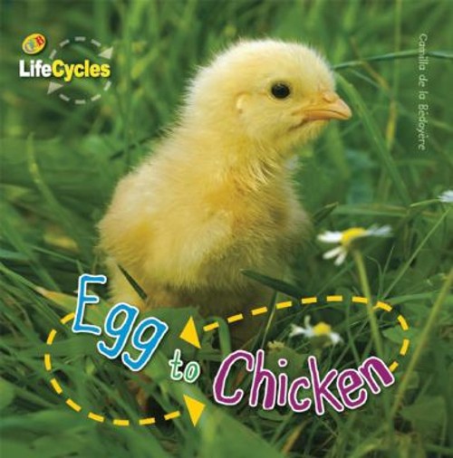 Egg to Chicken Library Binding Camilla de la Bedoyere