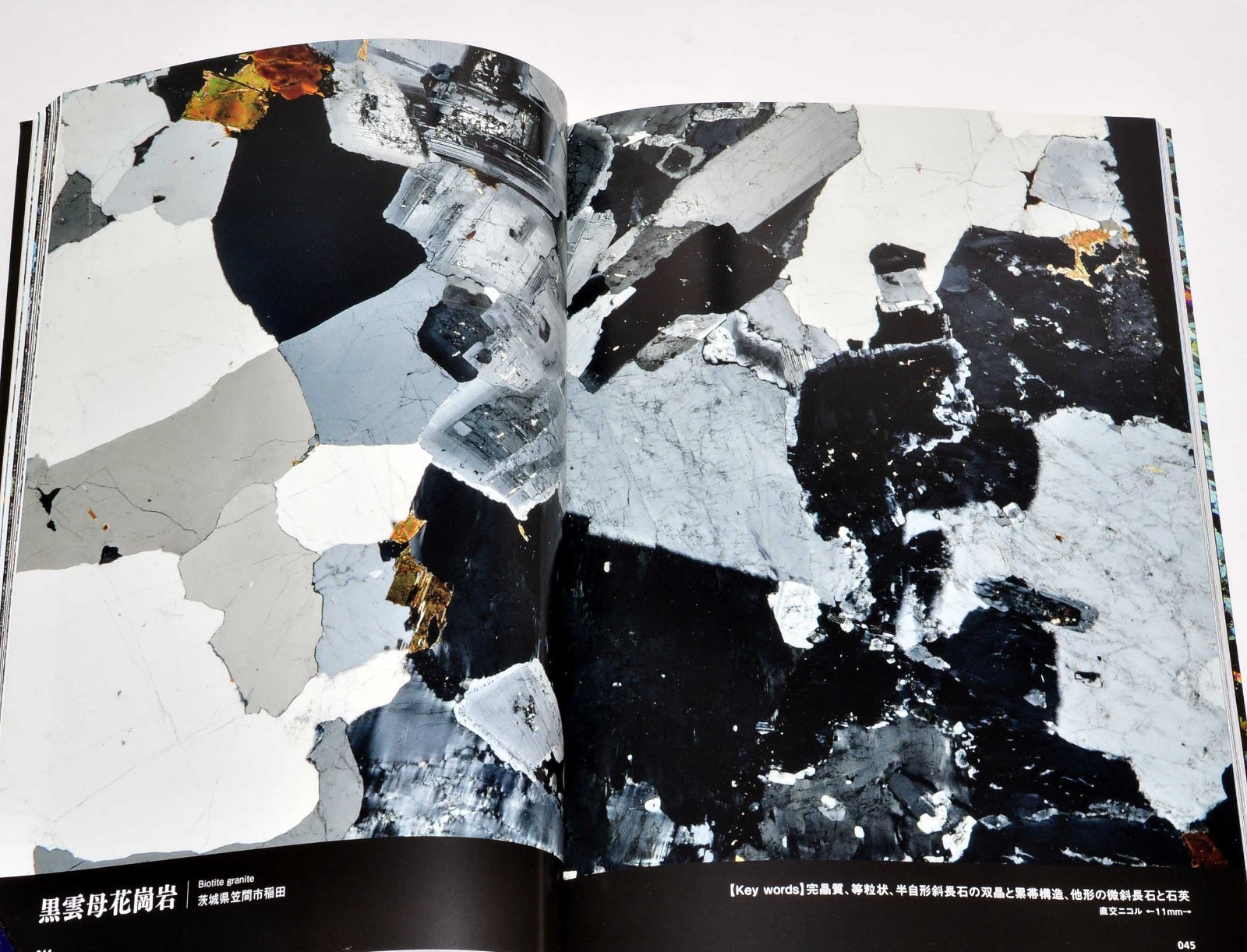 Rock Thin Section Illustrated Guide: Mineral Composition and History from Japan