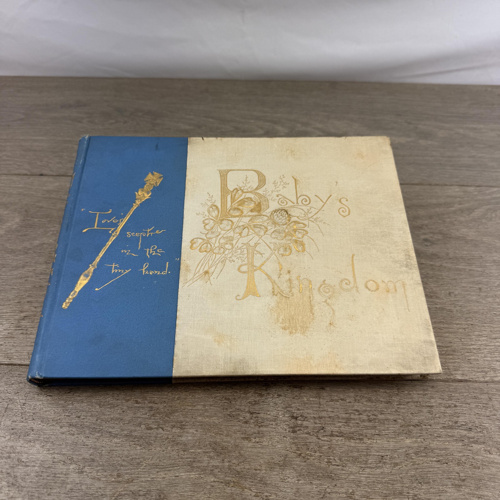Vintage 1897 Baby’s Kingdom Annie F. Cox Baby Memory Book Hardcover Boston MA