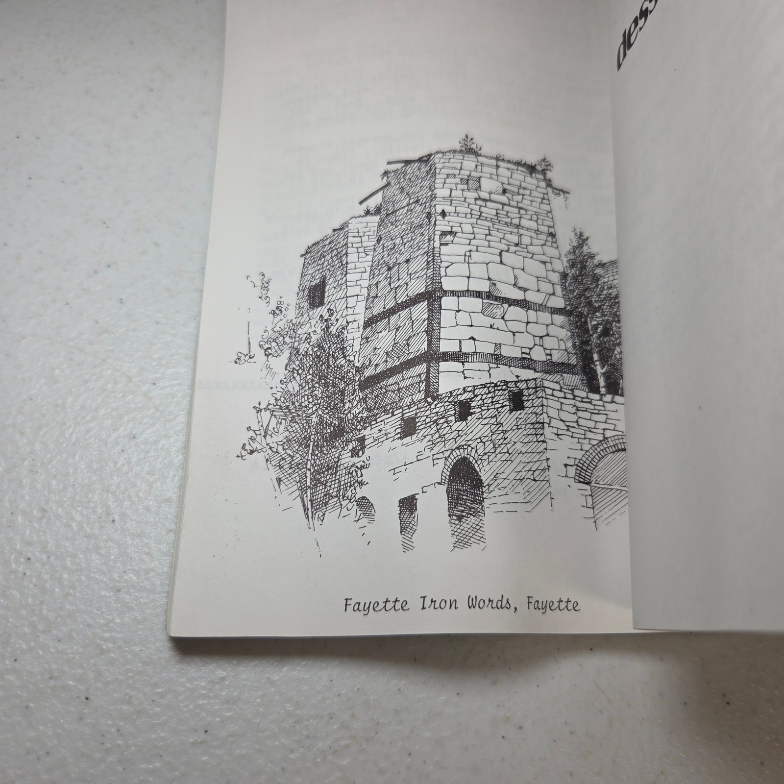More Michigan Cooking and Other Things Carole Eberly 1st Ed 1981 Fayette Detroit