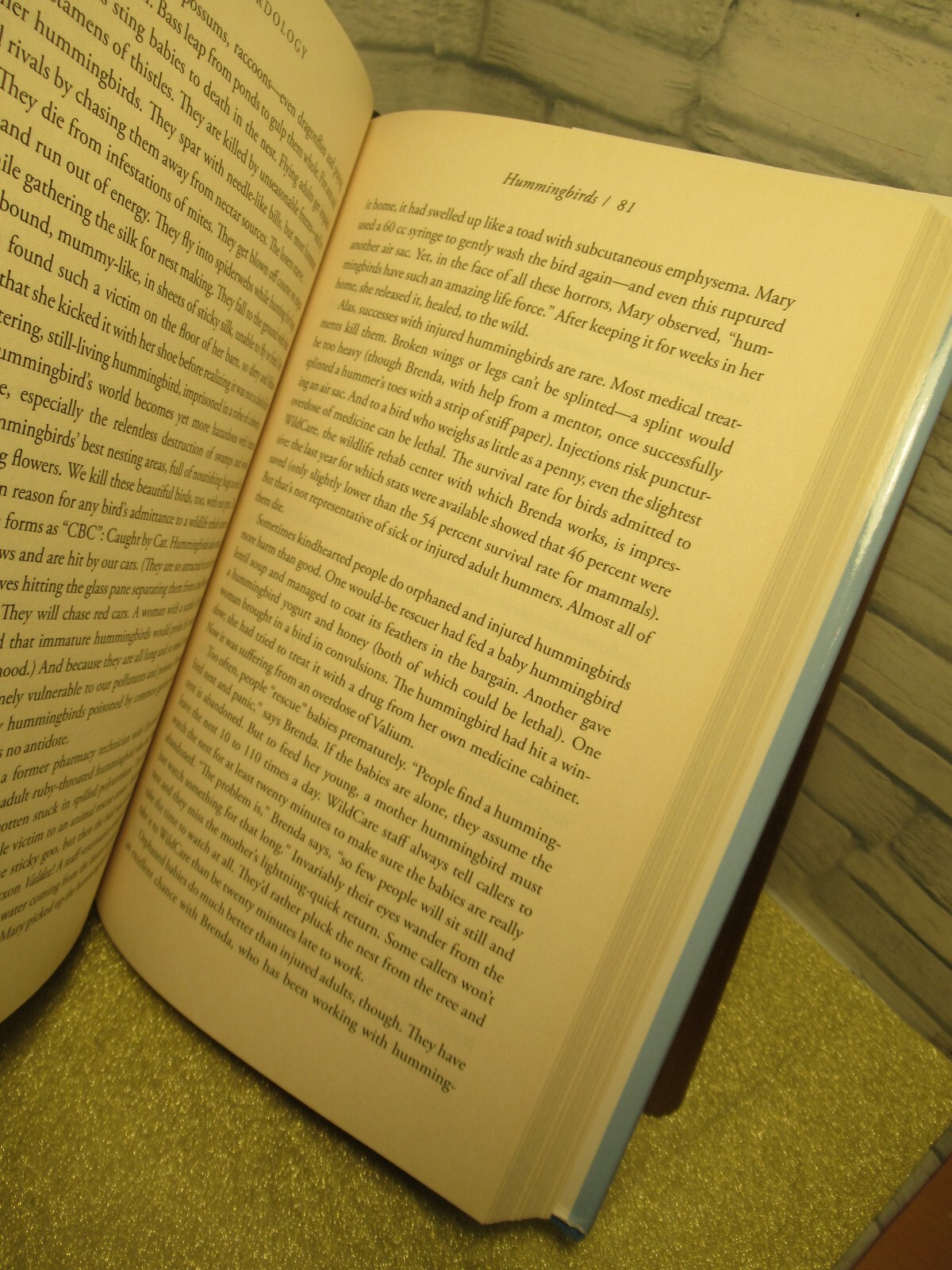 Birdology/ Adventures with a Pack of Hens, a Peck of Pigeons…/by Sy Montgomery