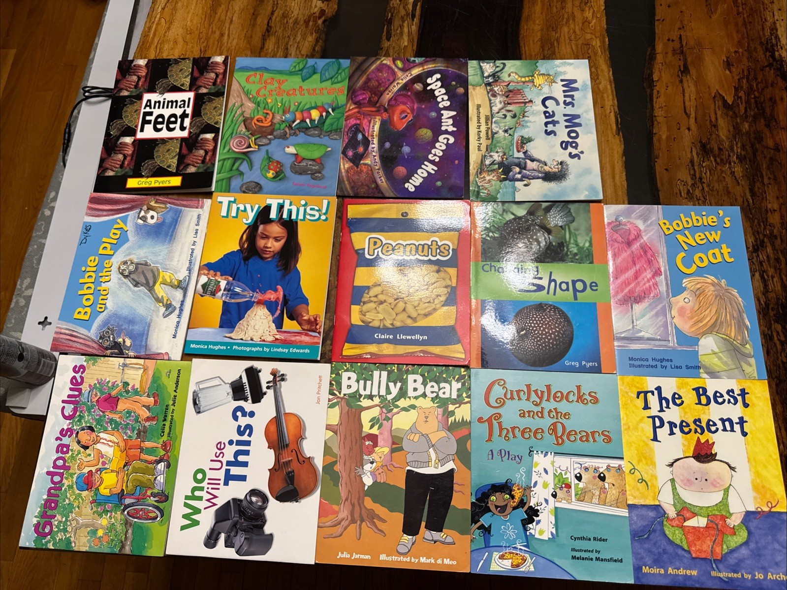 Lot of 14 Rigby Literacy Levels 8-9 Readers-Homeschool