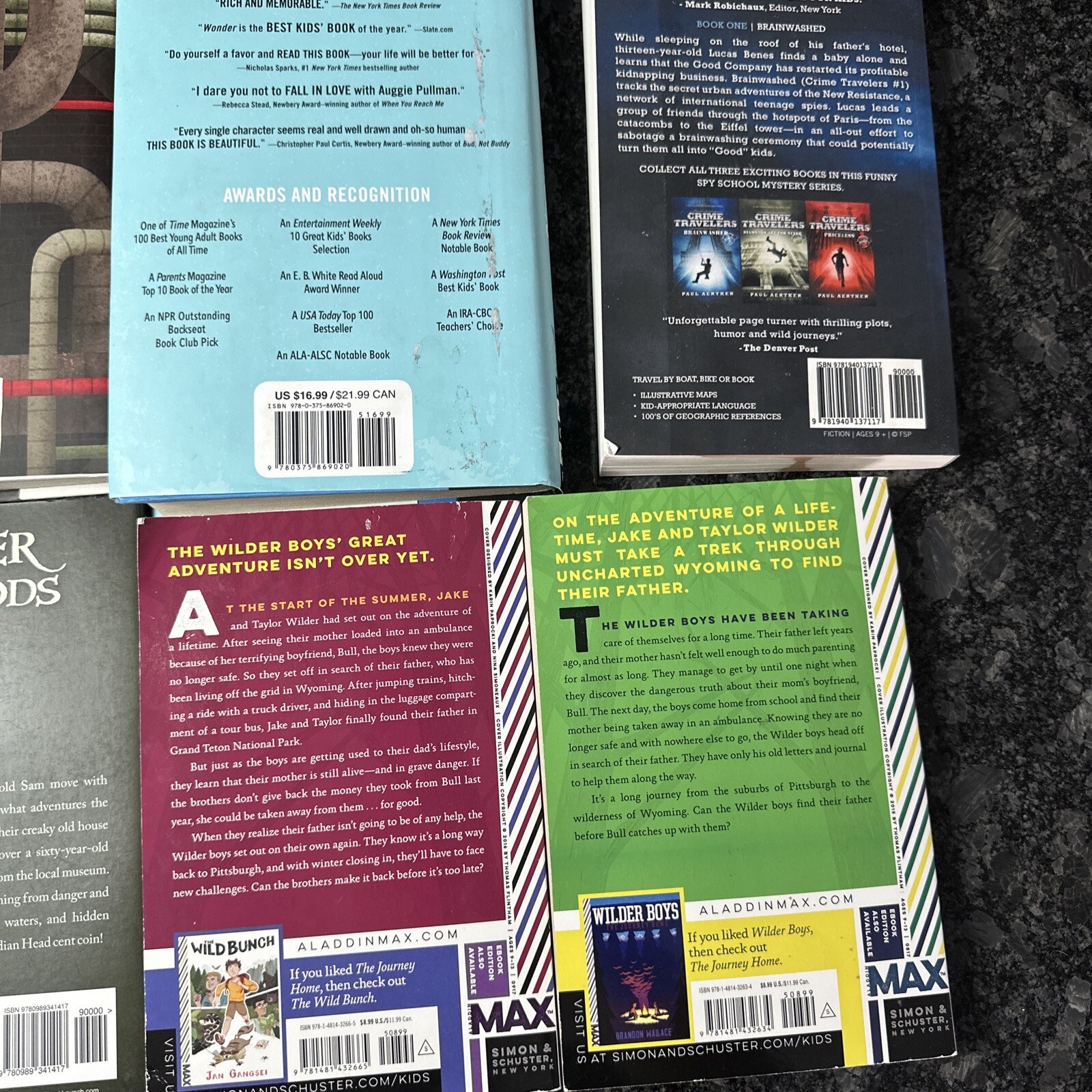 Lot of 12 Chapter Books BOYS Youth Early Reader Young Adults Children Adventure