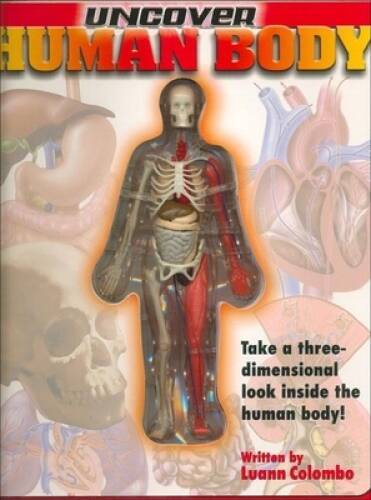 Uncover the Human Body: An Uncover It Book – Board book By Luann Colombo – GOOD