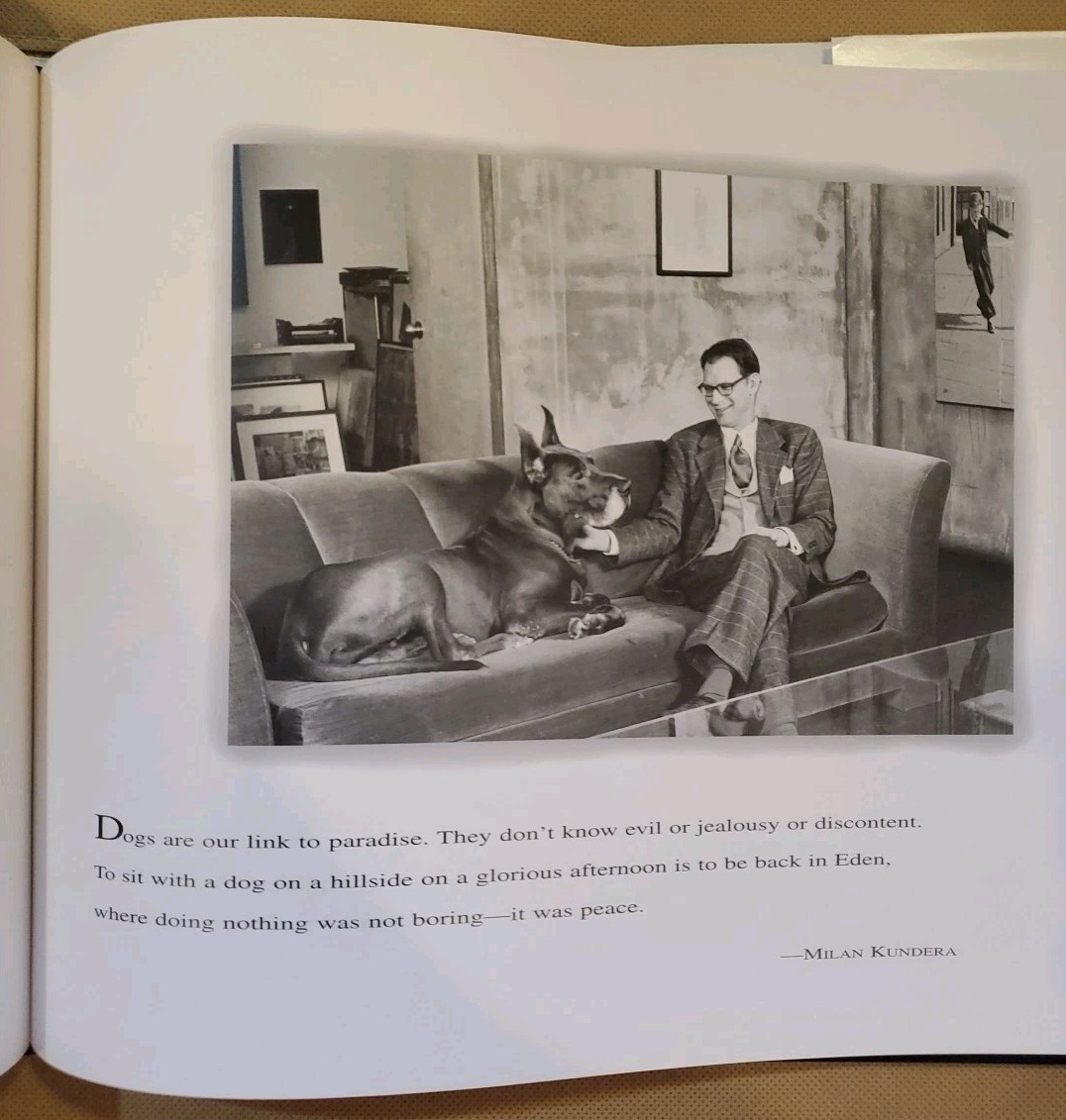 Guys And Dogs By Laurie Schneider