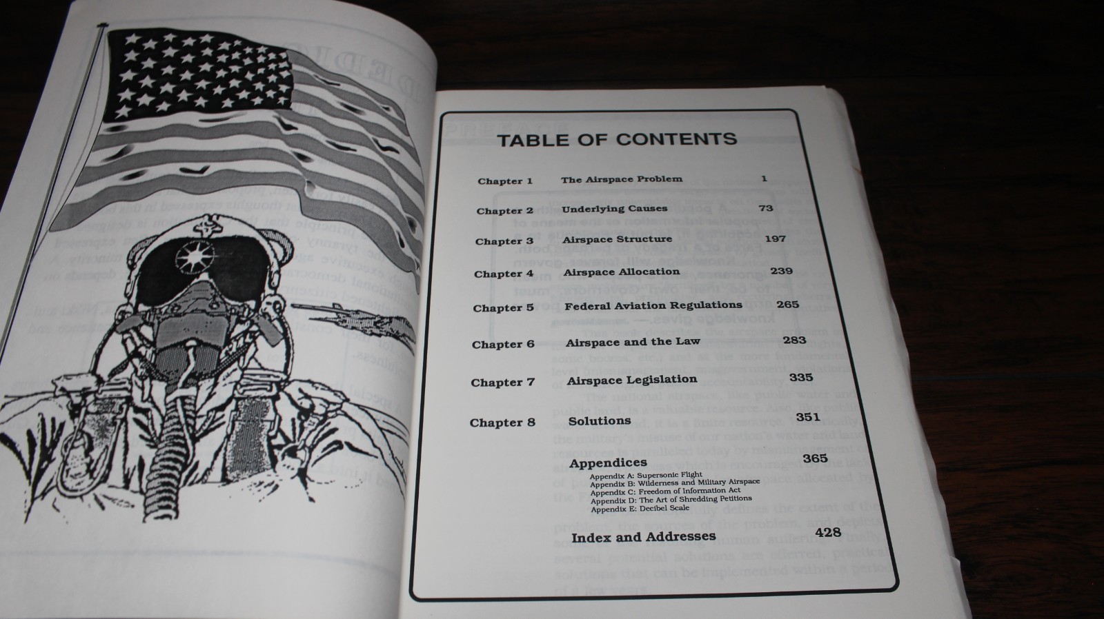 SIGNED Airspace Blues by Richard Bargen, MD, PB 1989. Misuse of Airspace
