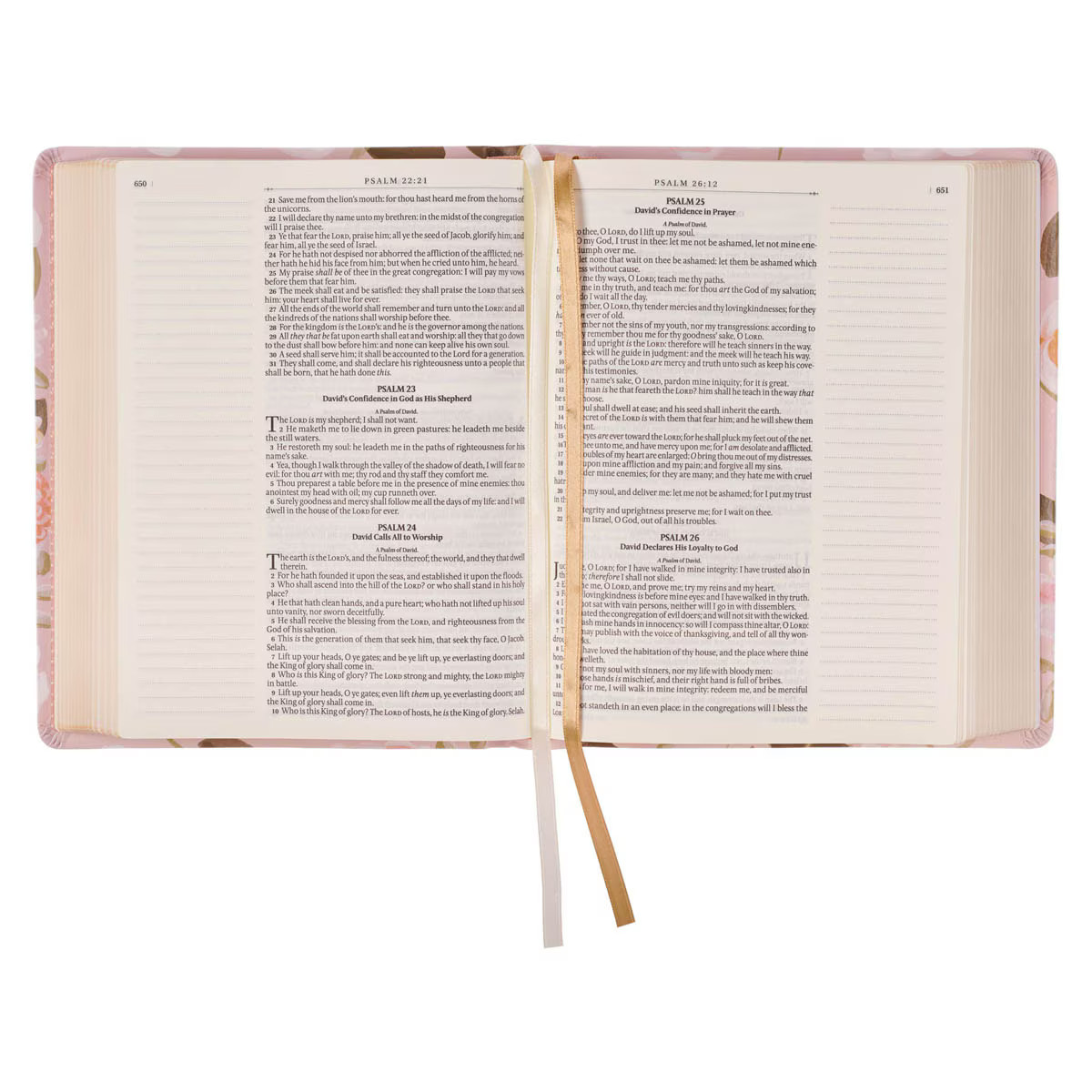 KJV Note-taking Bible, Special Edition, Journal Space, Reading Plan, Maps,