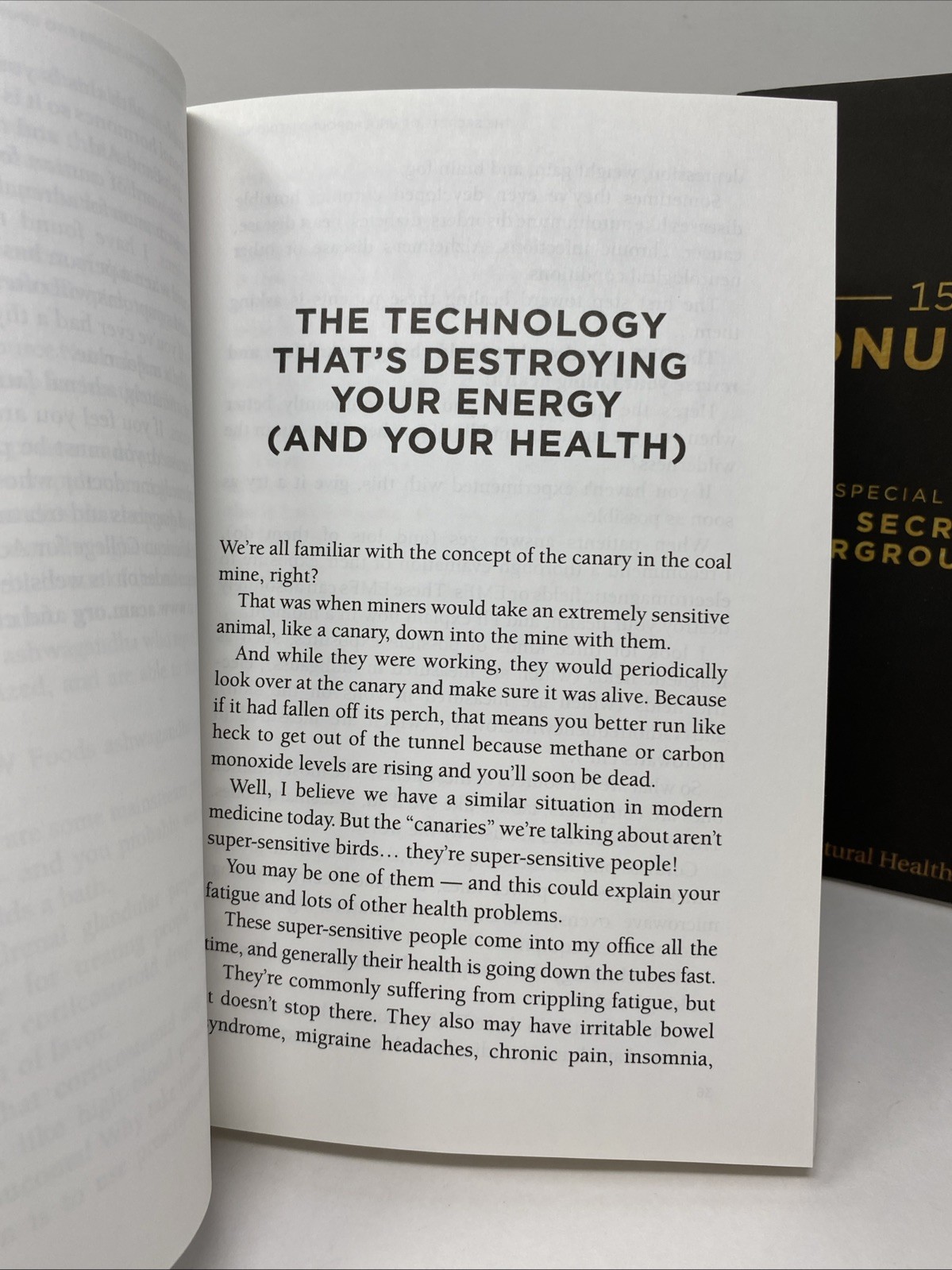 Secrets of Underground Medicine + 15 Bonus Cures 2‑Book Set Richard Gerhauser