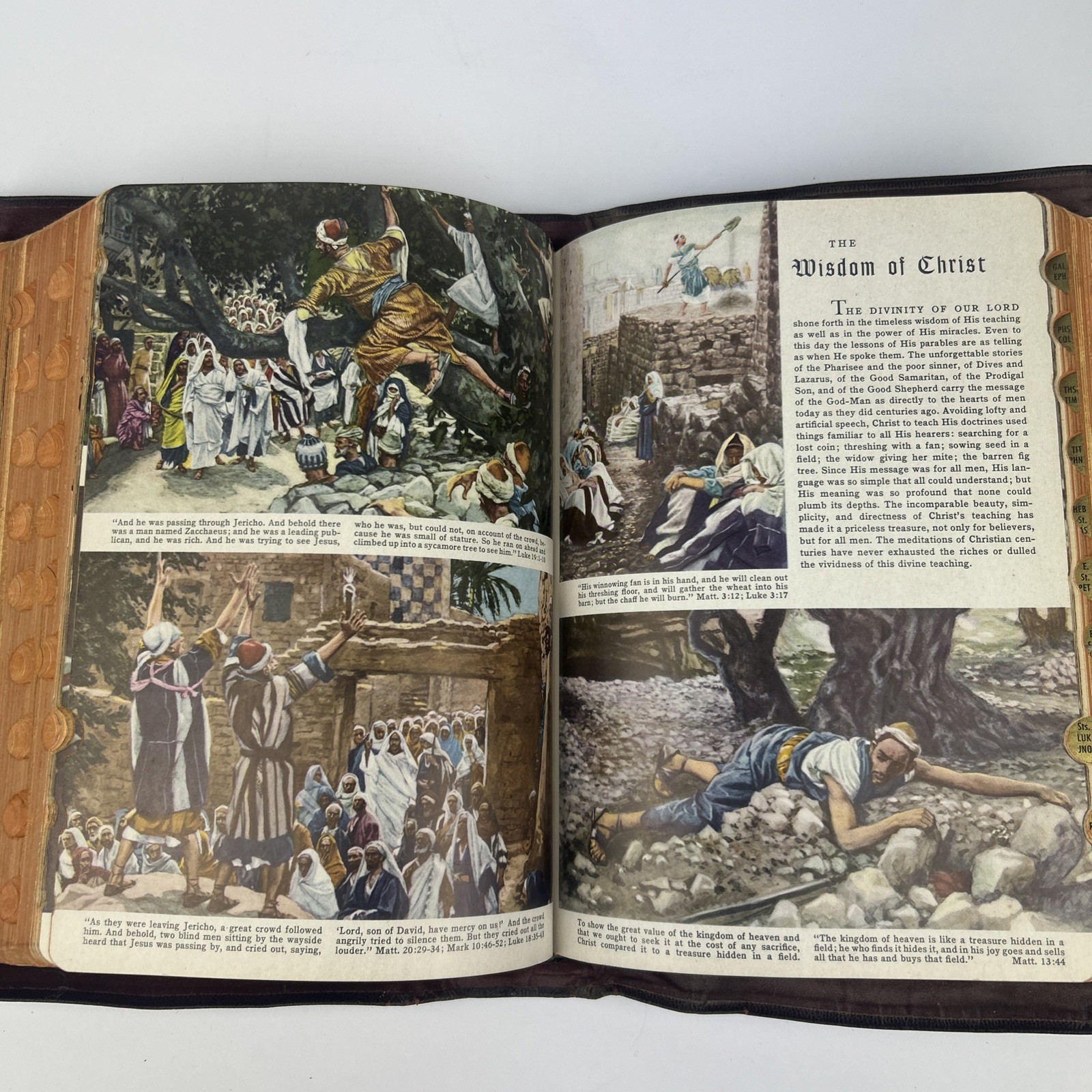 The Holy Bible: Holy Family Edition 1950 The Catholic Press Vintage Illustrated