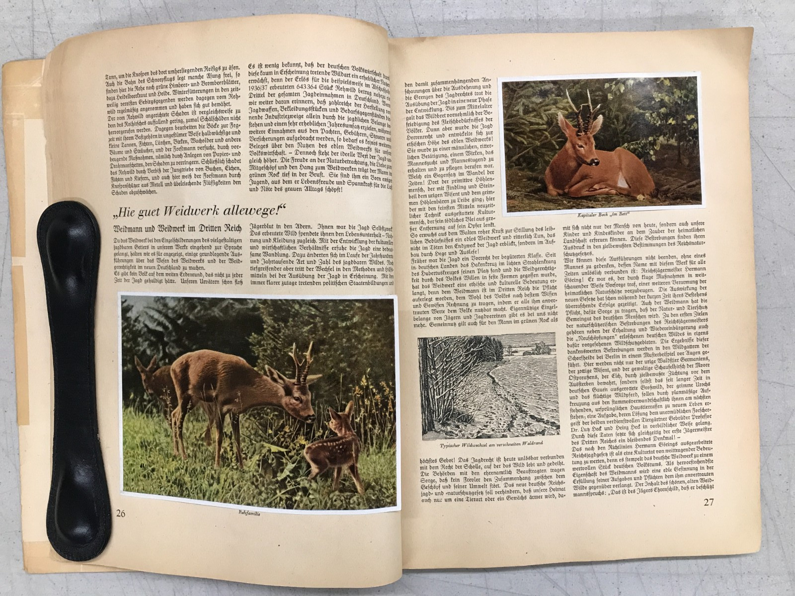Aus Wald Und Flur – Two German Books 1937/1938 Plants and Animals, Set of 2 E-77