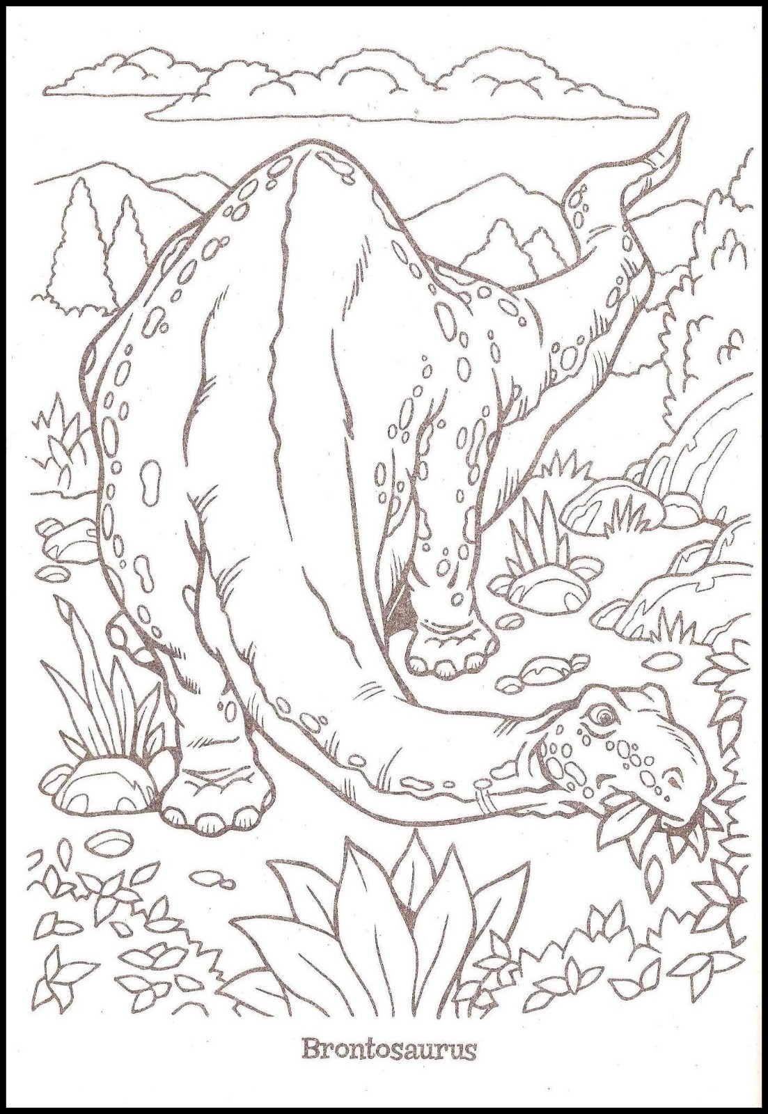 Dino Crash – Coloring & Activity – Book