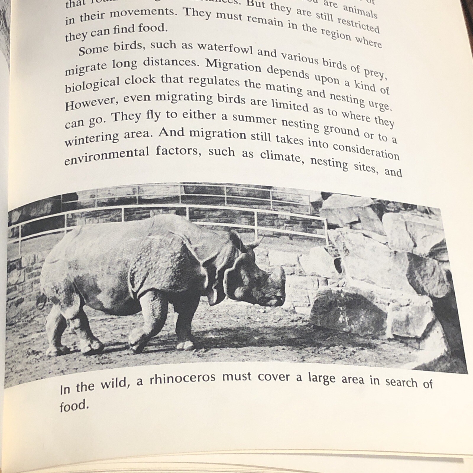 ‘OUR CAPTIVE ANIMALS’- J.J. McCOY-1971-RARE 1ST EDITION HC/DJ- EXOTIC & DOMESTIC