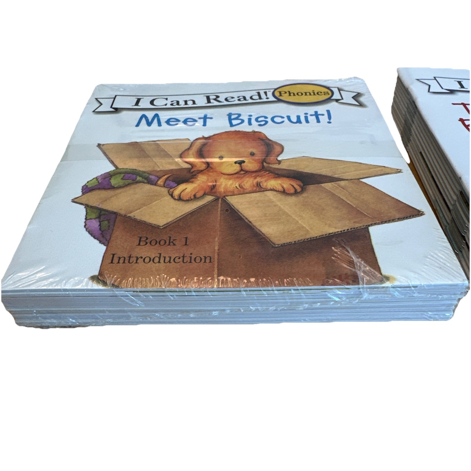 Biscuit I Can Read Phonics Kids Books Lot 24 Introduction Beginner Readers