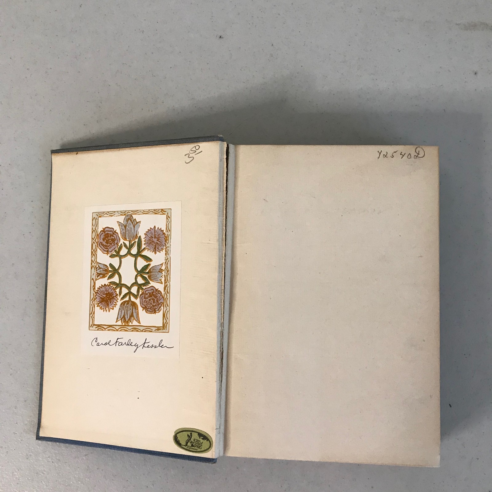 Ellen Glasgow: The Romance Of A Plain Man 1909 & The Battle Ground 1902