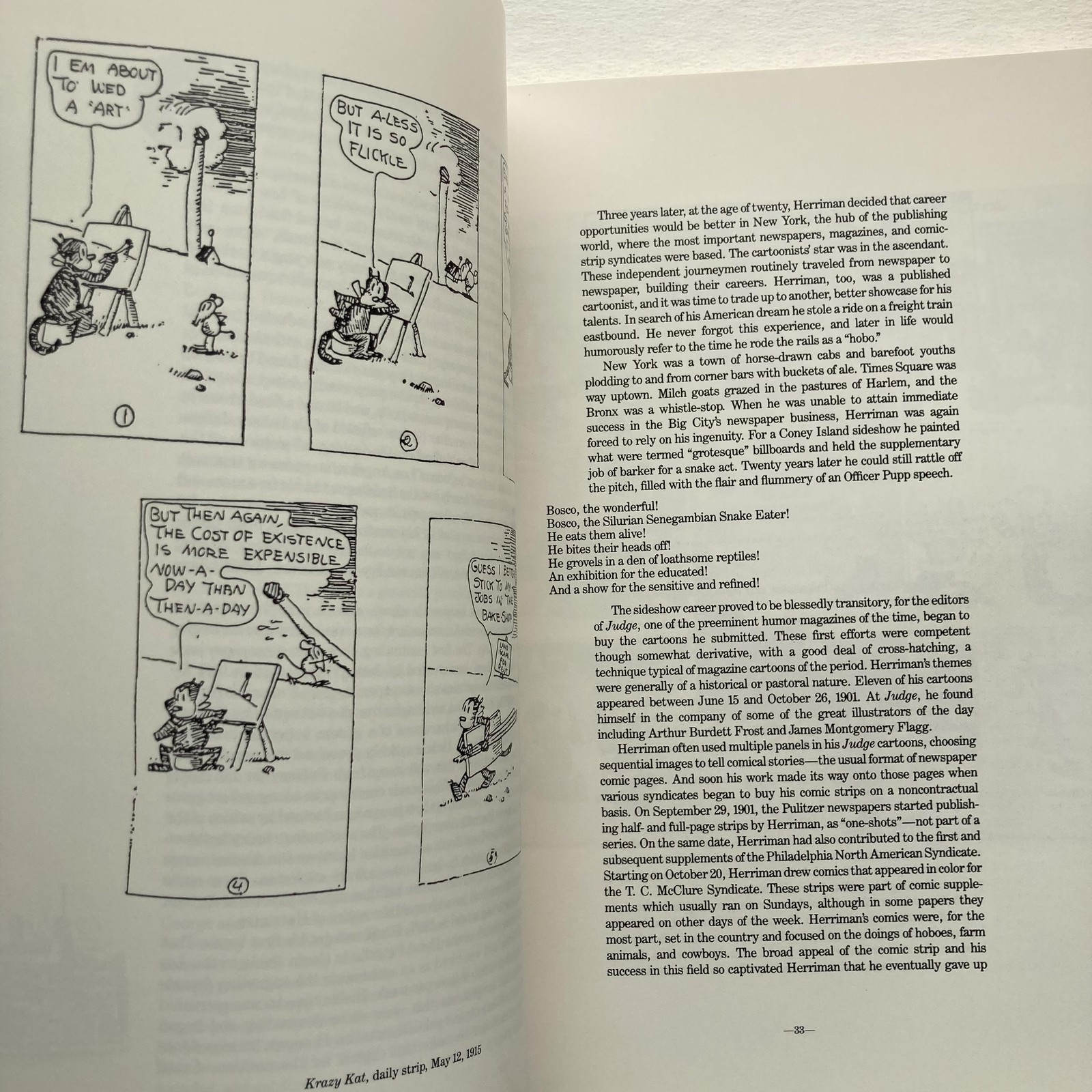 Krazy Kat The Comic Art of George Herriman Patrick McDonnell Softcover Cartoon B