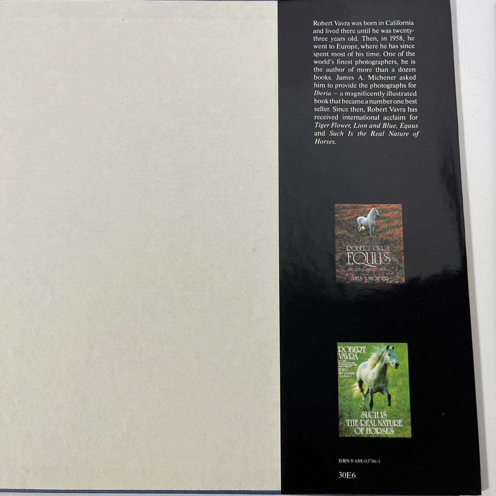 Stallion of a Dream, Robert Vavra, Collins, Hardcover, 1st Edt 1980