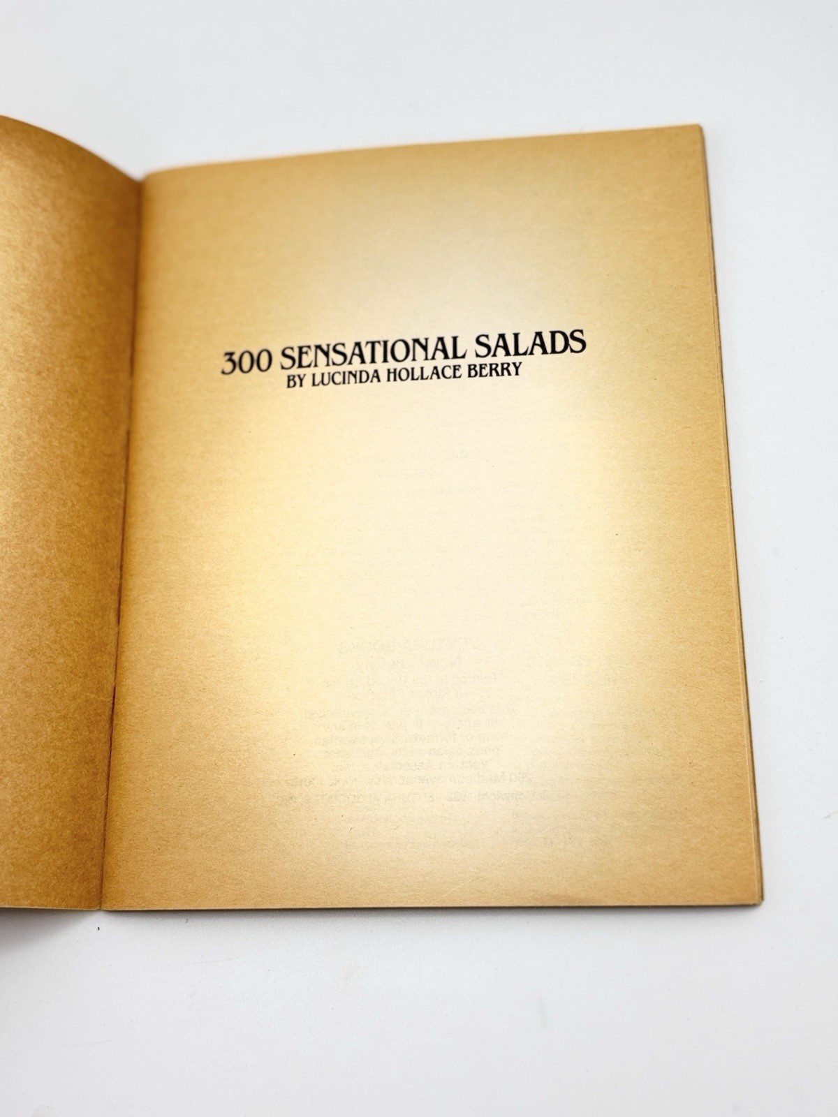Vtg Recipe Guide 300 Sensational Salads Lucinda Berry 1982 Booklet New York City