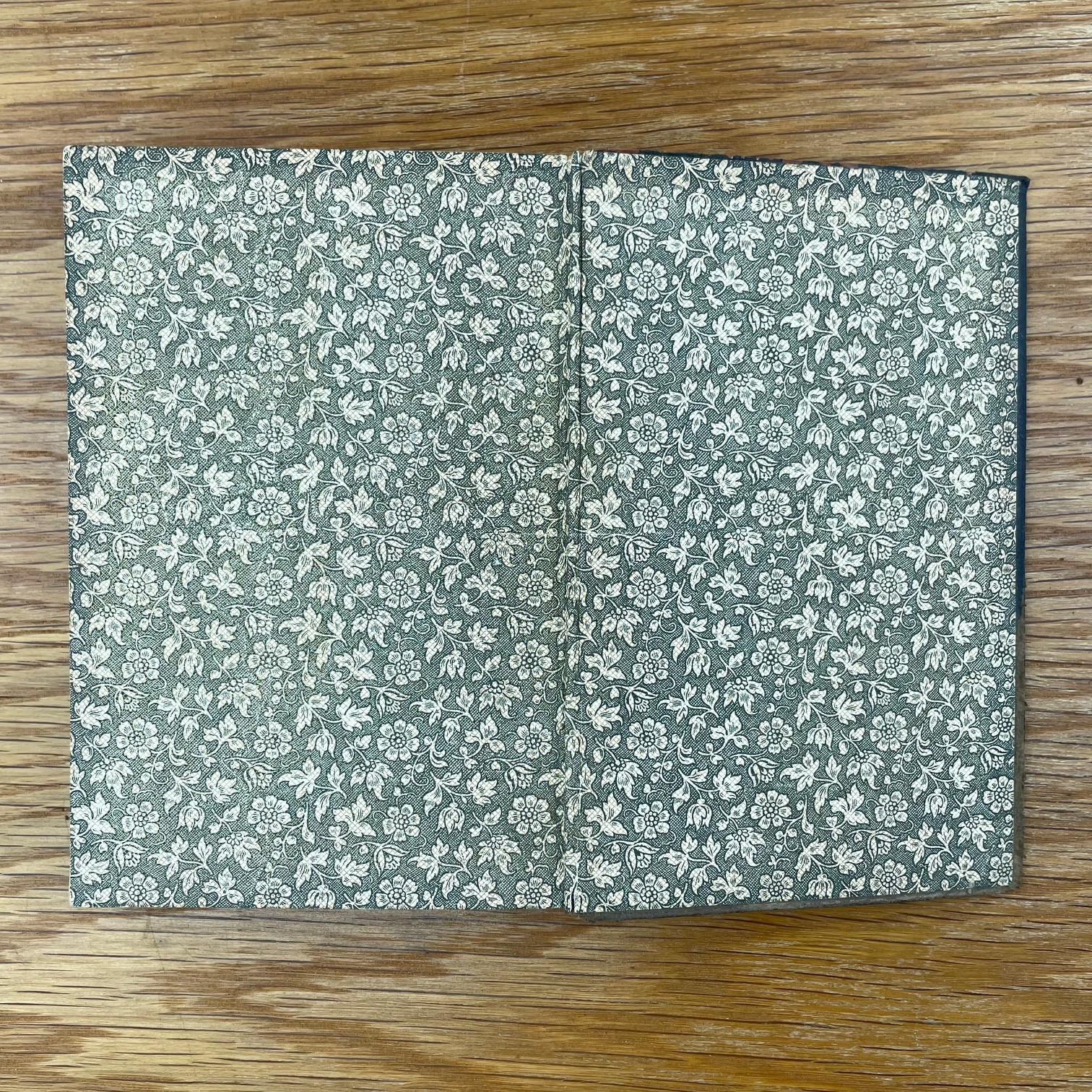 Vintage 1899 Prue And I George William Curtis Softcover Book