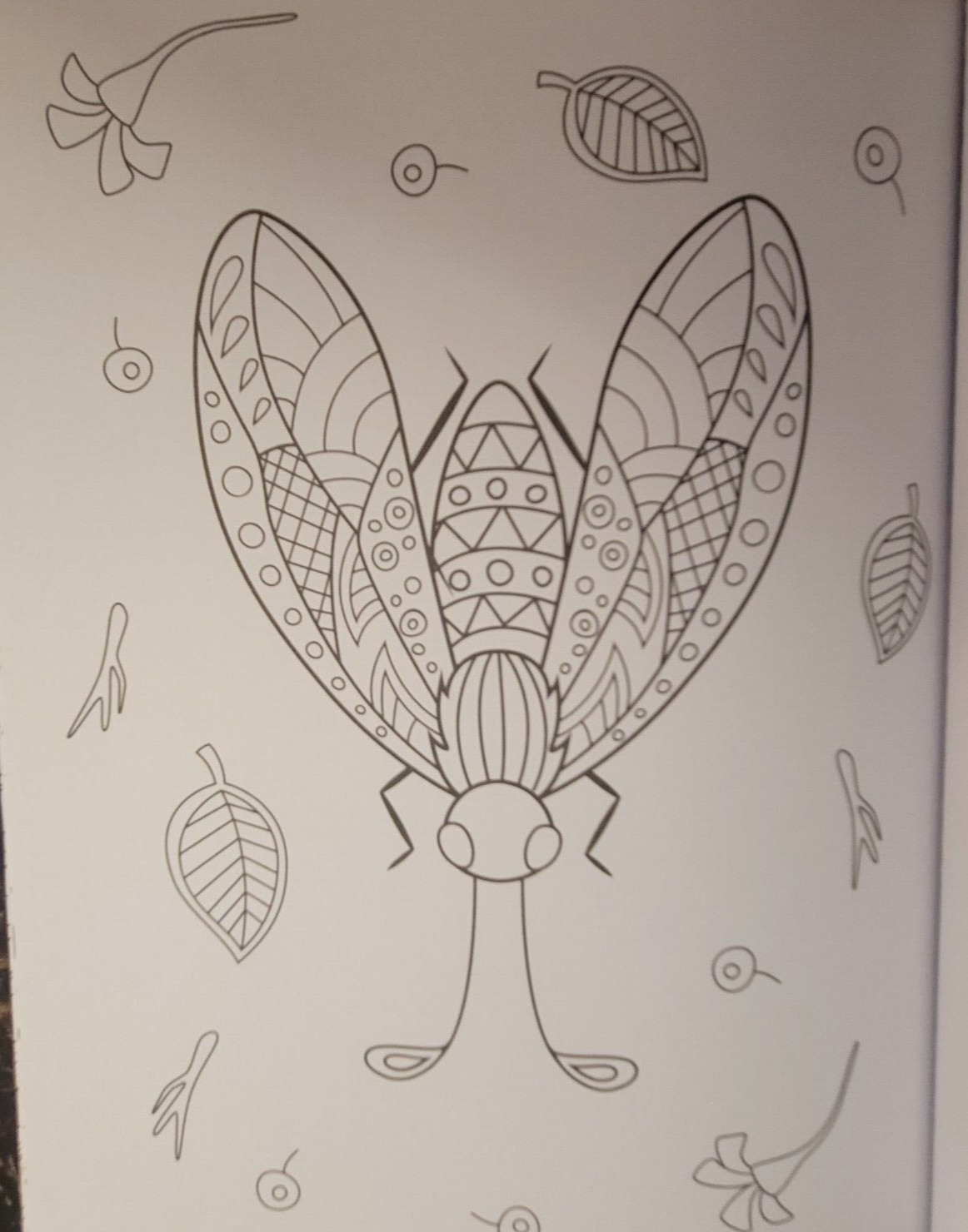 COLORS OF THE WILD Vol 22 Adult Coloring Book With 47 Prints Ready To Frame