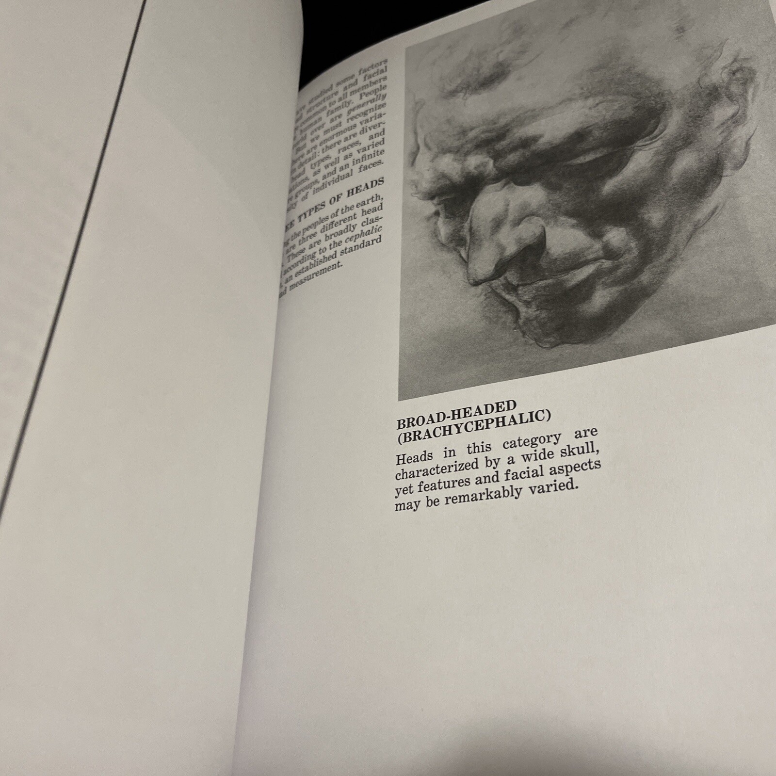 Drawing the Human Head by Burne Hogarth (1989, Library Binding) HB New