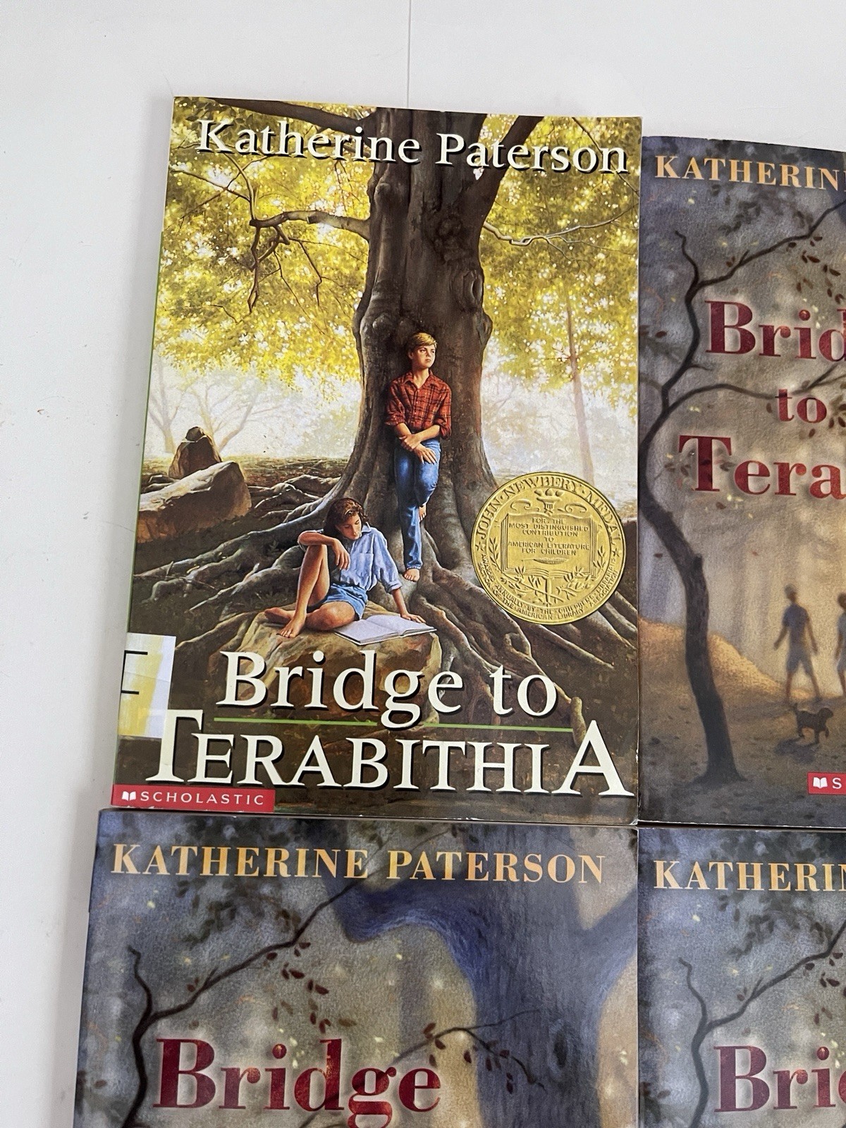 Bridge to Terabithia Lot of 4 Books For Guided Reading paperback Free Shipping