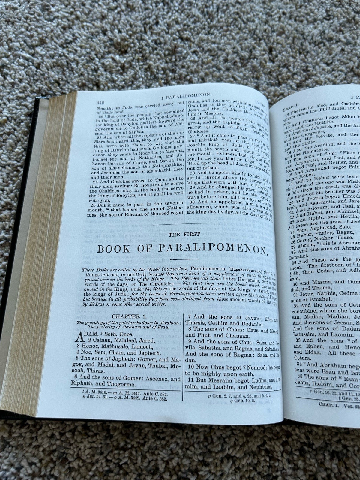 The Holy Bible Douay Rheims Version Catholic 1989 Orthodox Hardcover Black F26