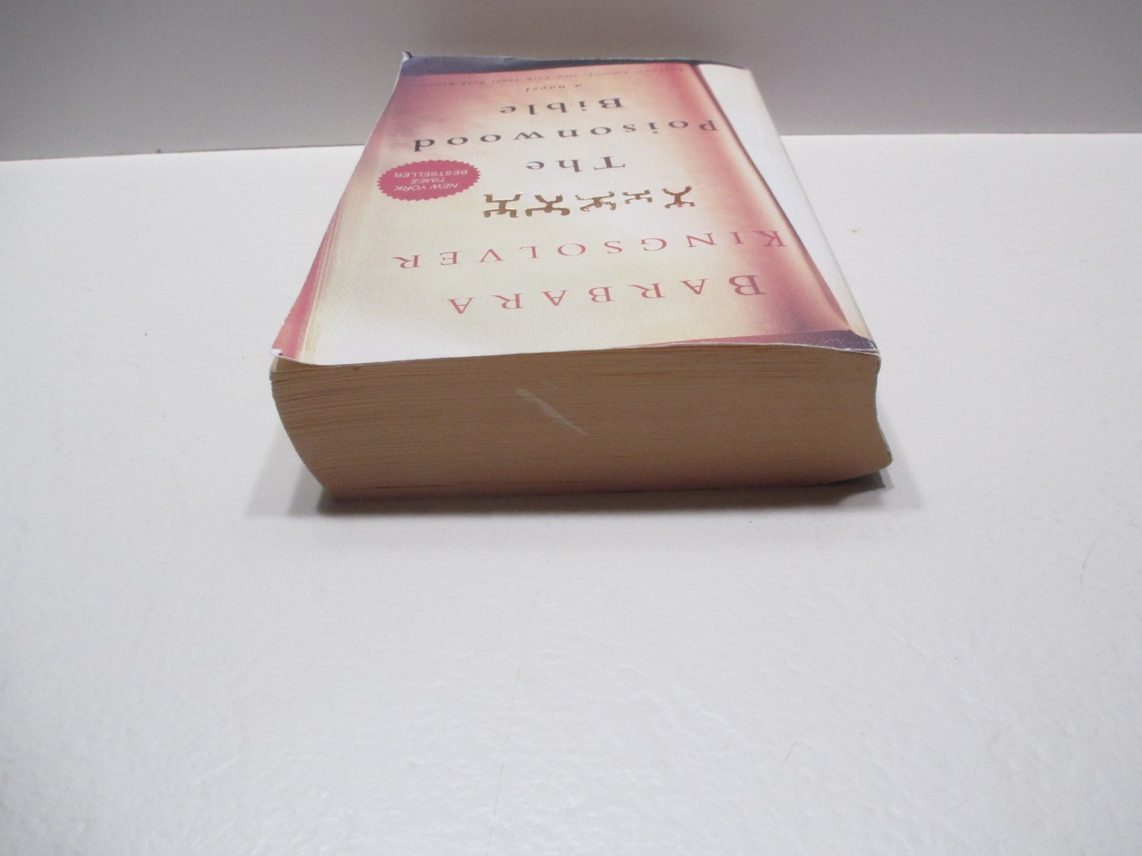 The Poisonwood Bible –