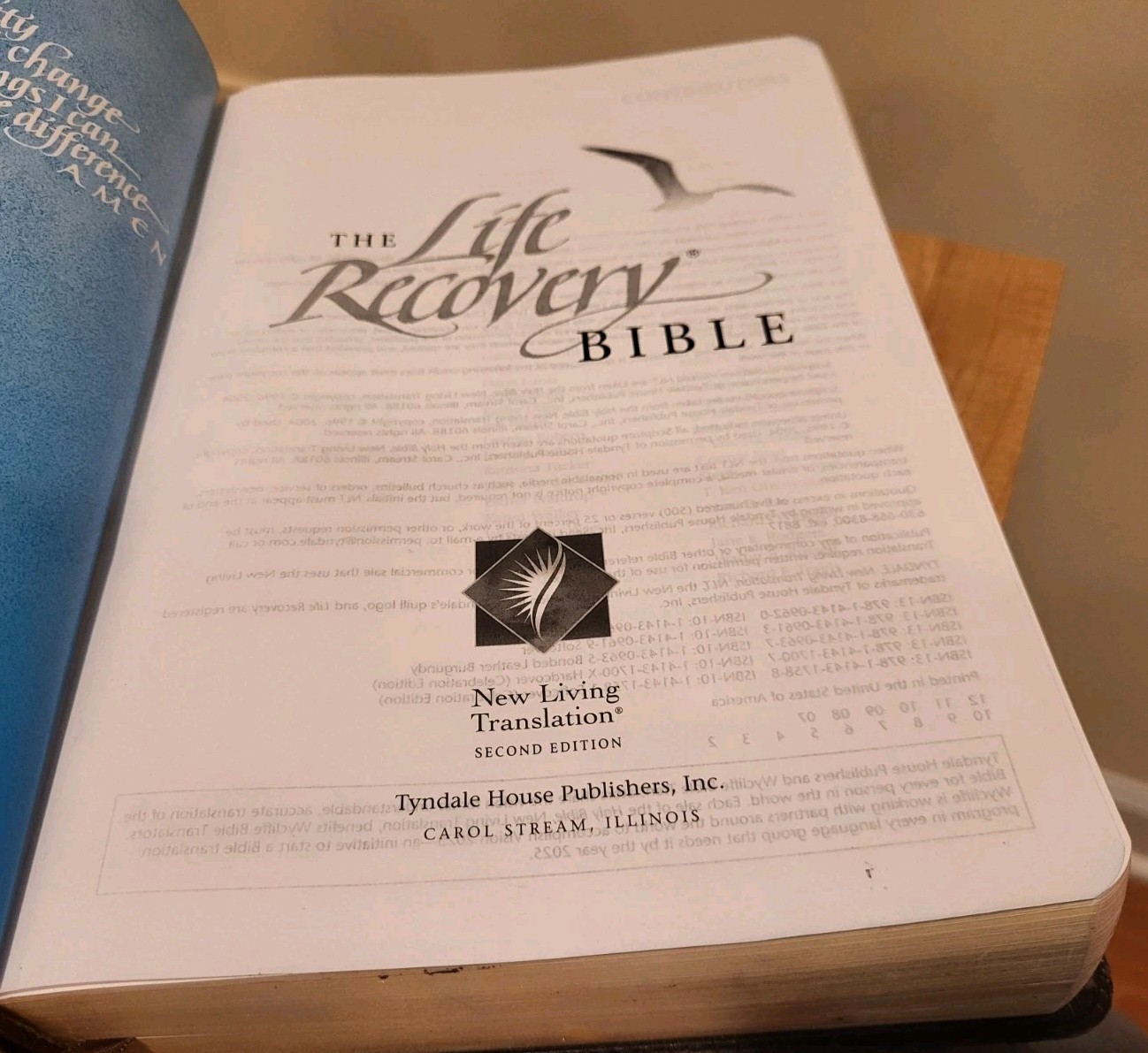 THE NEW LIVING BIBLE New Living Translation TWO TONE SOFTCOVER Tyndale 2004