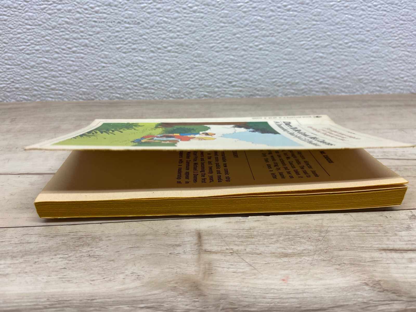 Vtg 1976 Dare To Be Great Ms. Caucus A Doonesbury Book By G.B. Trudeau