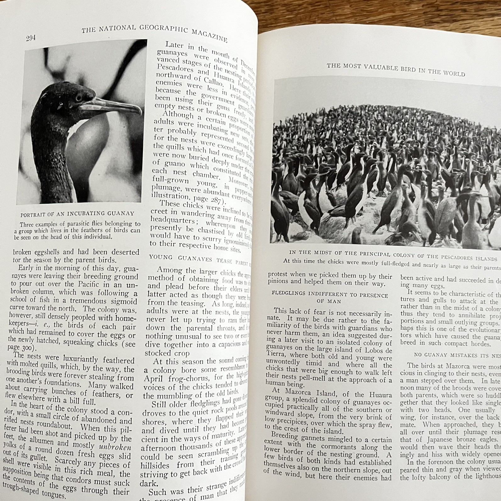Vintage September 1924 National Geographic Journal Magazine Paperback Book