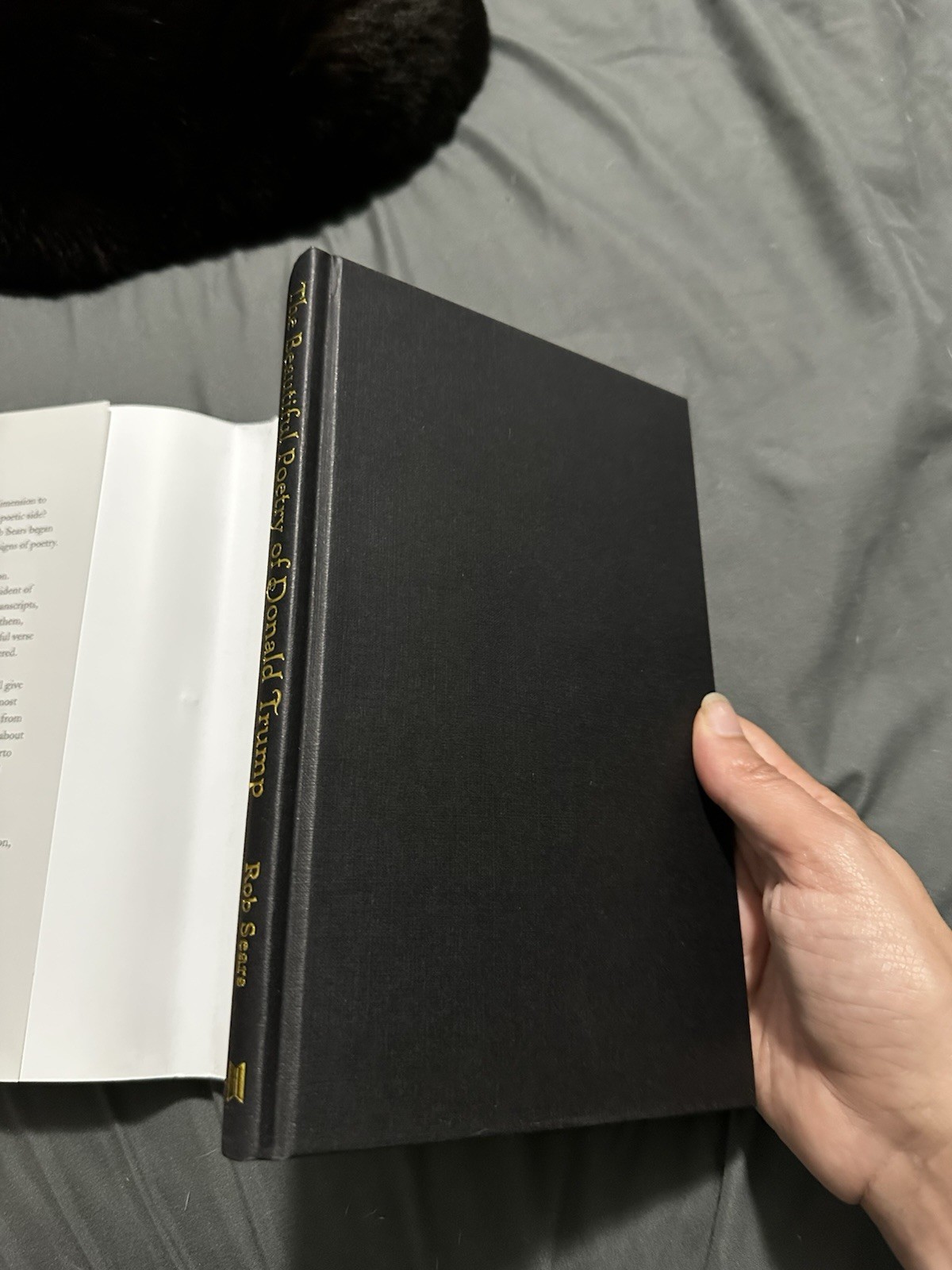 Beautiful Poetry of Donald Trump by Robert Sears (2017, Hardcover)