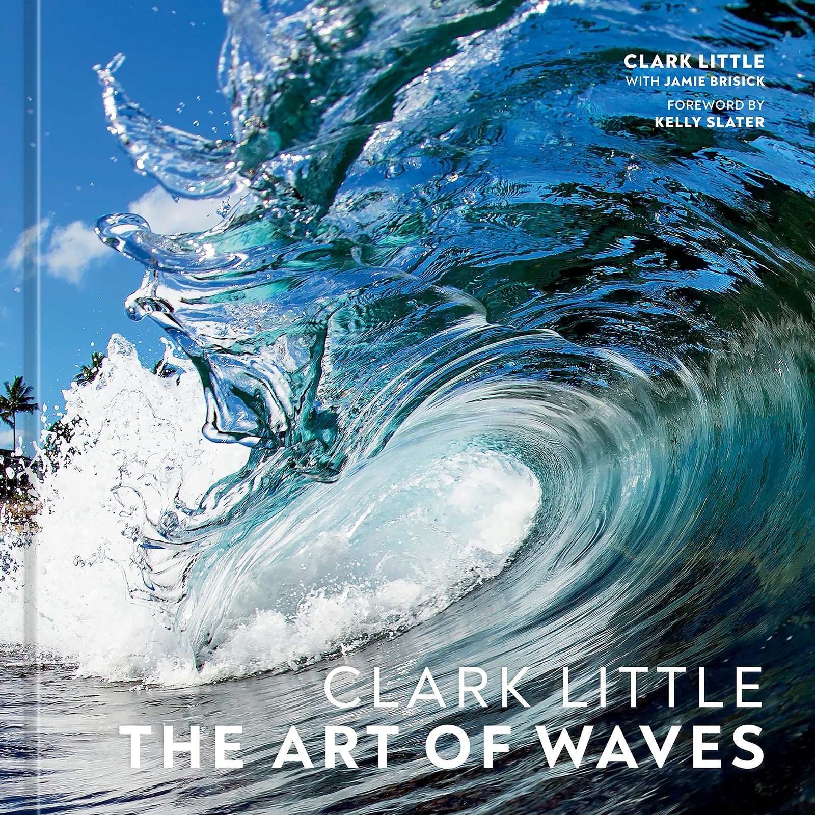 Clark Little: The Art of Waves, Little, Clark, New Book