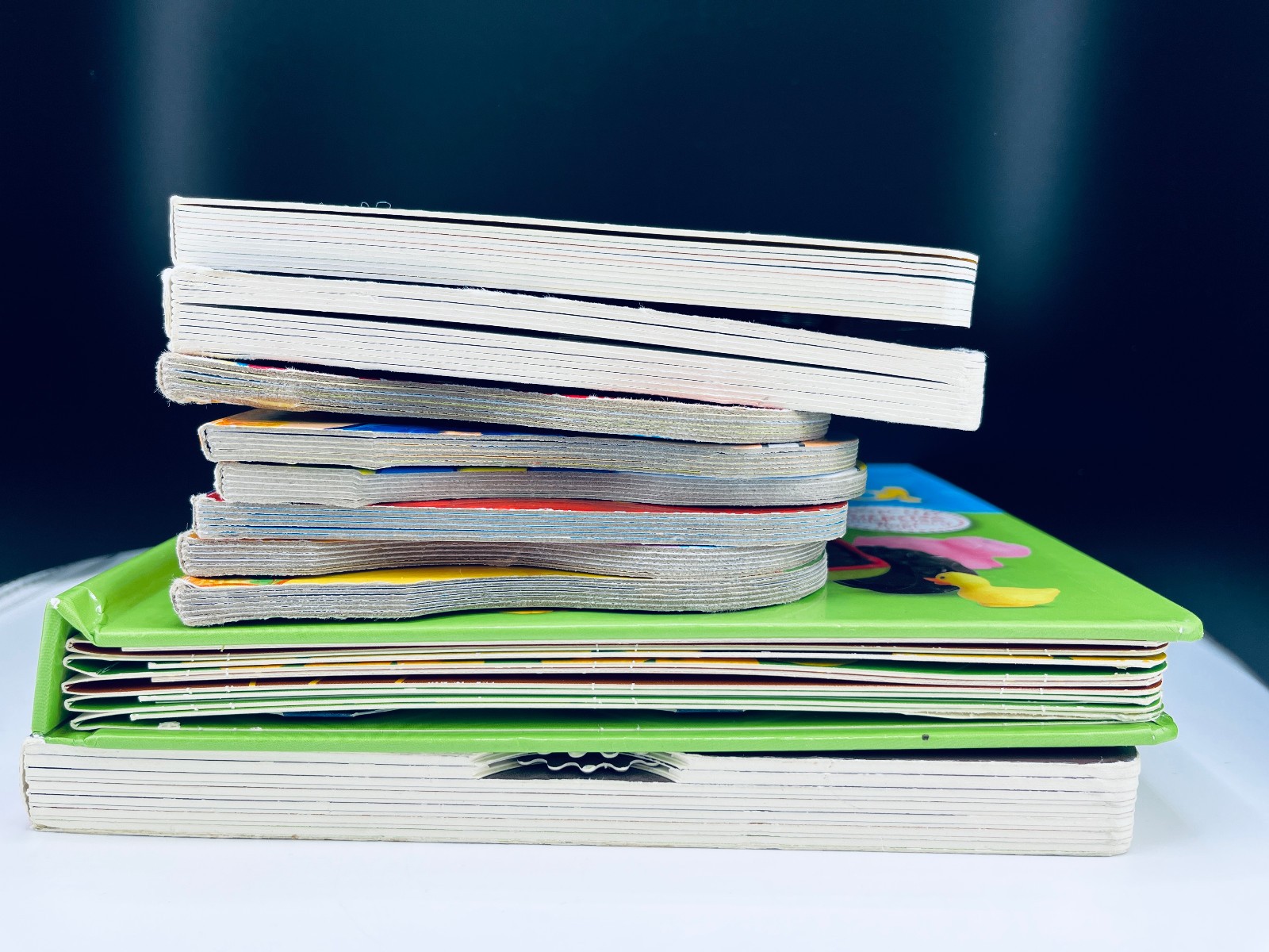 Lot of 10 Children’s Baby Toddler Board Picture Books Kids Daycare Family VIDEO
