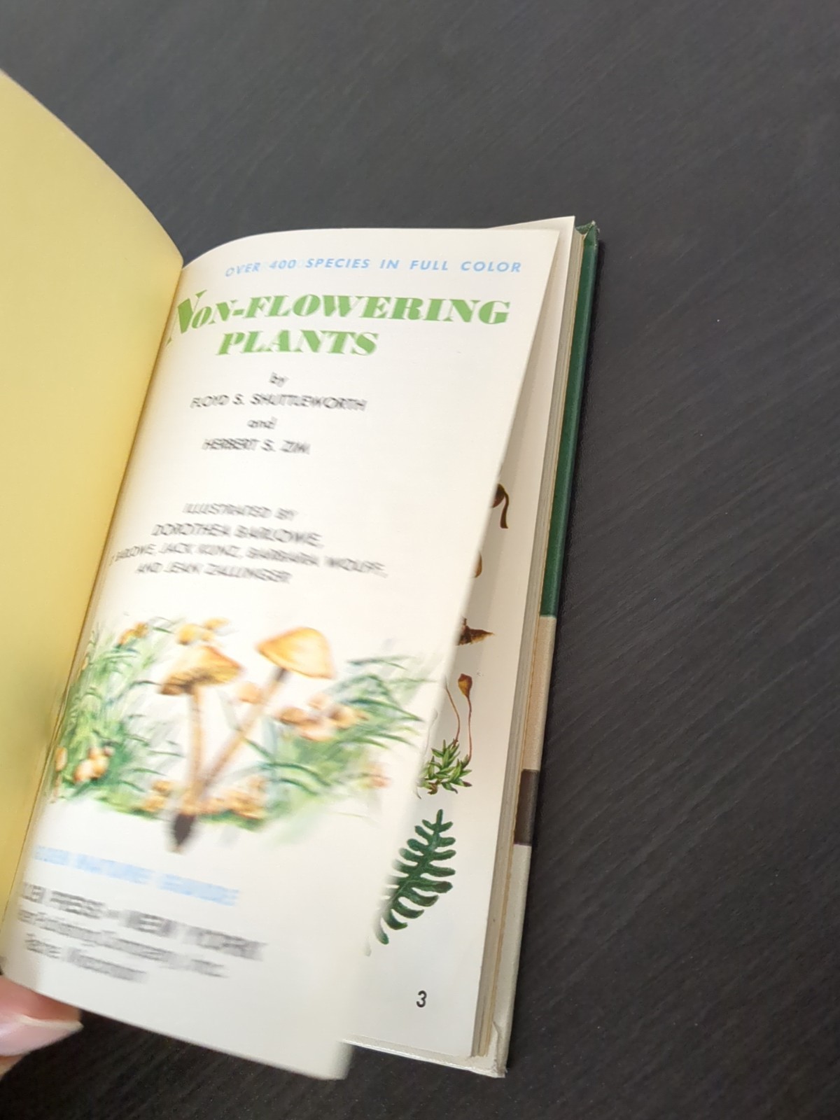 Non-Flowering Plants Golden Nature Guide Hardcover Book Mushrooms 1967