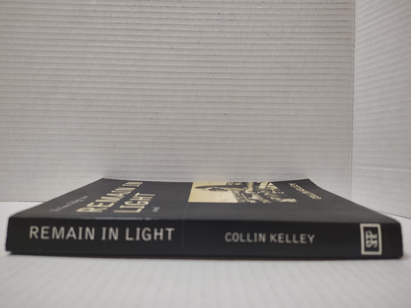 REMAIN IN LIGHT by Collin Kelley (2013, Pb) * FREE SHIPPING *