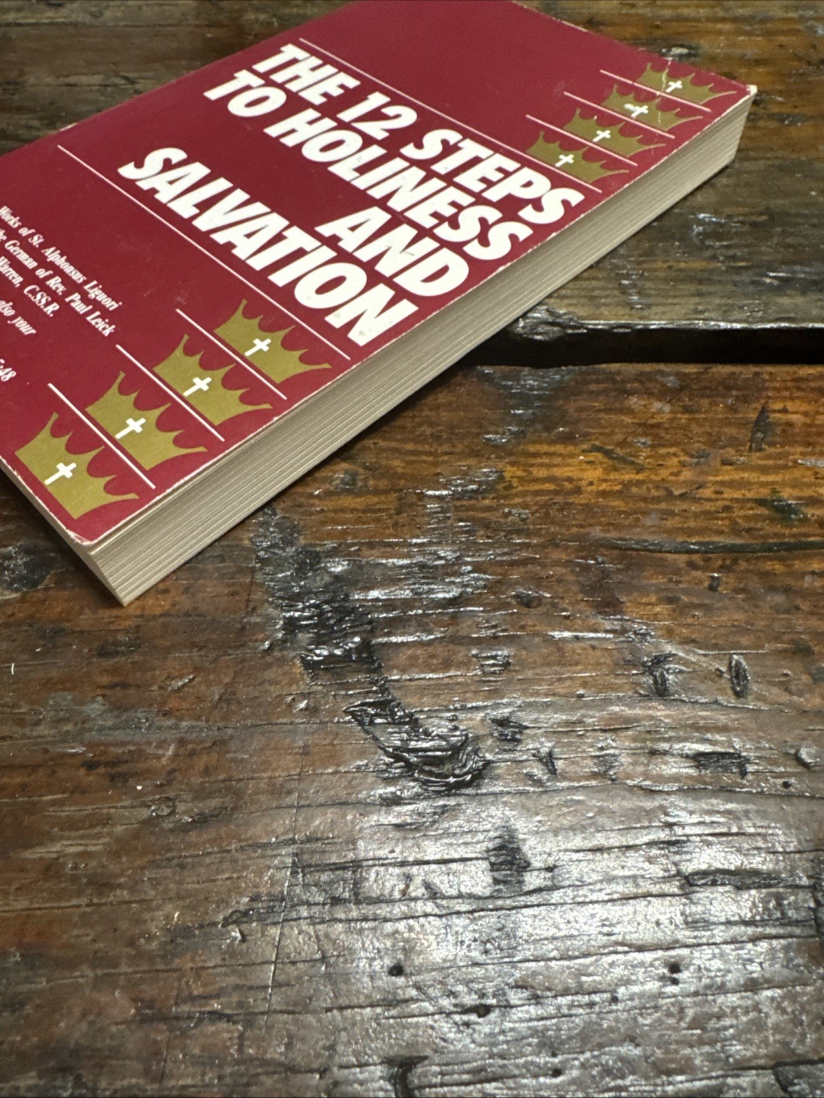 Twelve Steps to Holiness and Salvation by St. Alphonsus de Liguori (1993, Trade