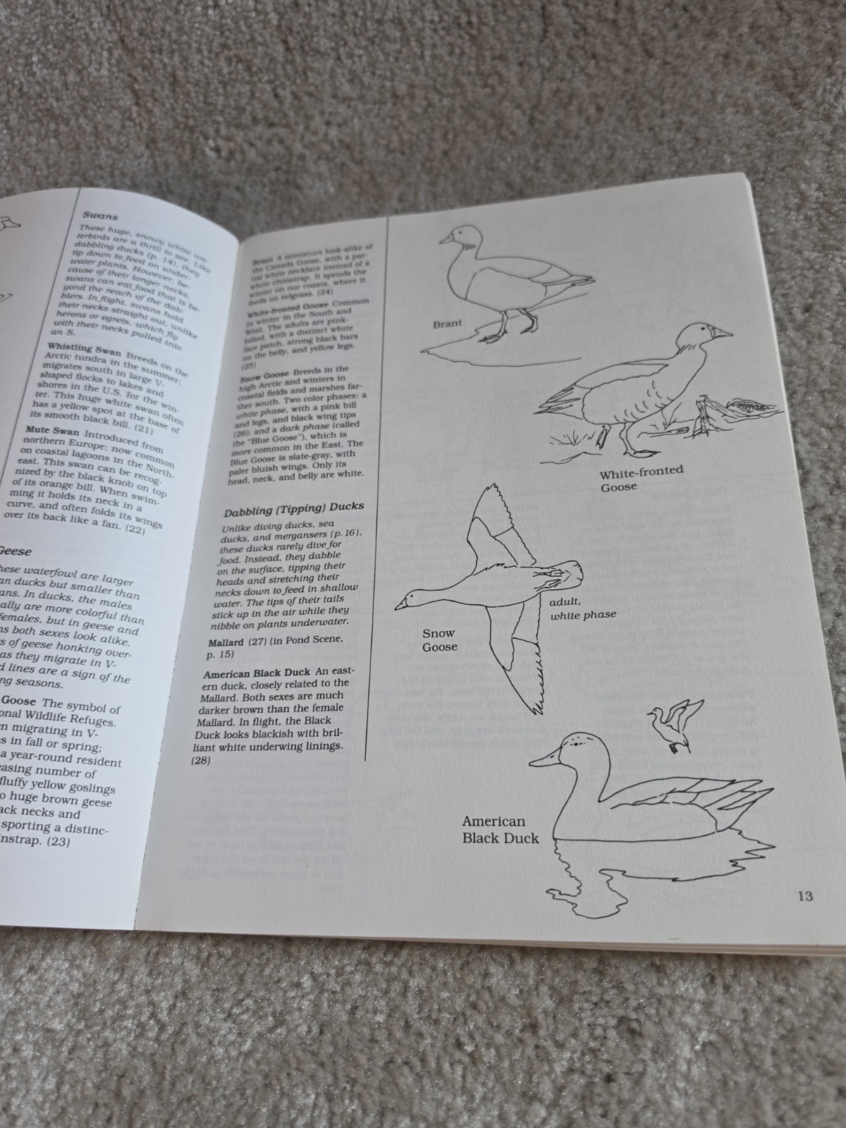 Vintage Lot Of 4 Coloring Books. Dover Publications. Houghton Mifflin Company