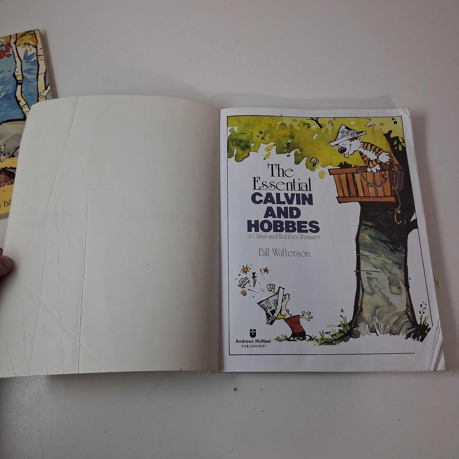 Calvin And Hobbes Books Lot 2 Yukon Ho Essential PB Bill Watterson Comics Humor