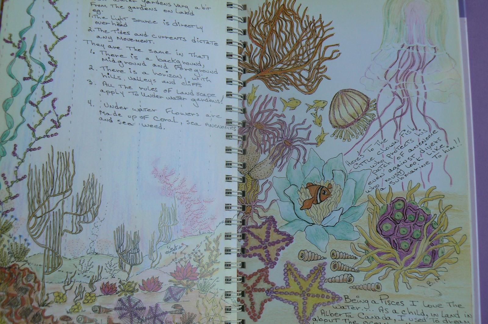 FLORAL STITCHES, illustrated guide, Judith Baker Montano,spiral HC LN!