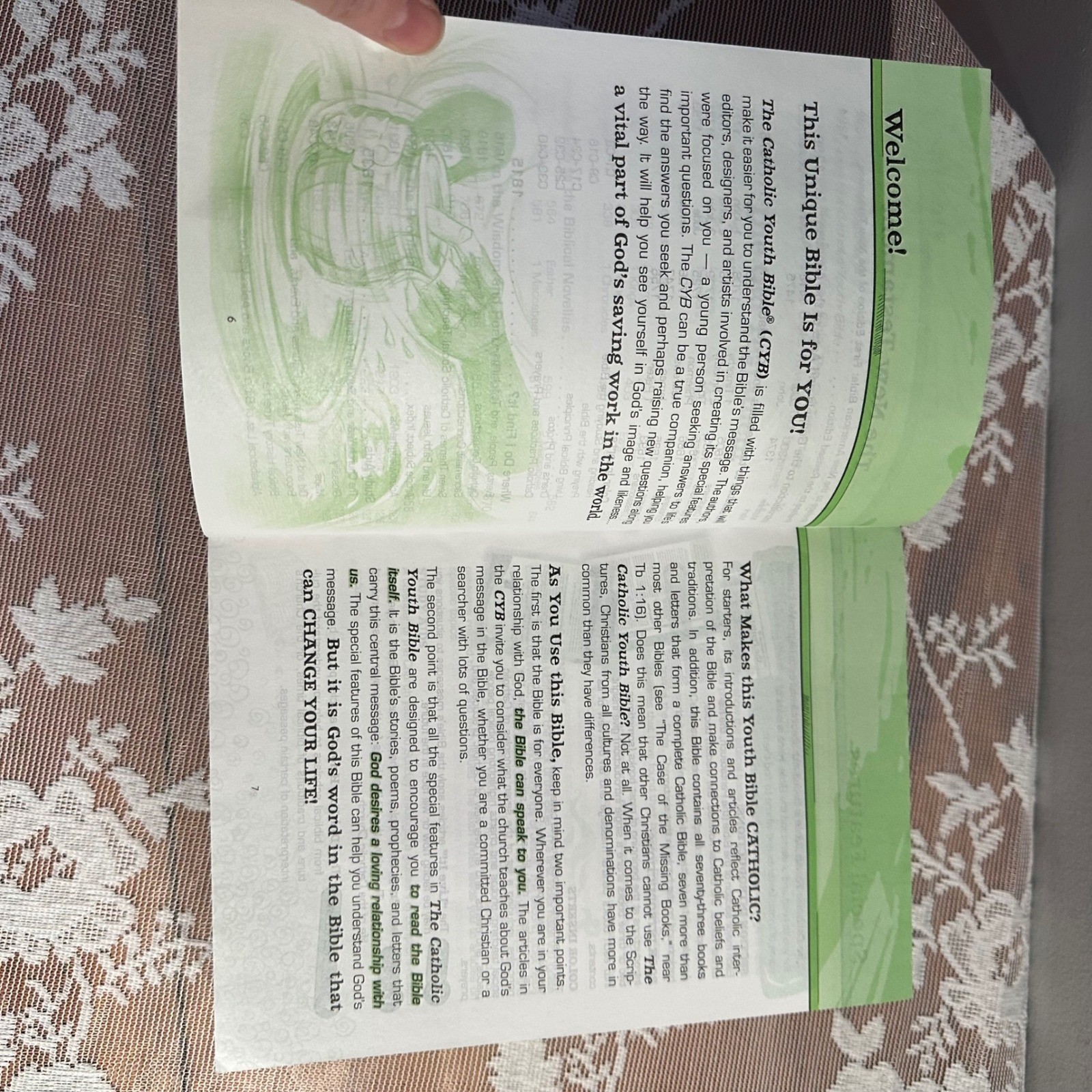 The Catholic Youth Bible Revised Edition New American Bible Saint Marys Press