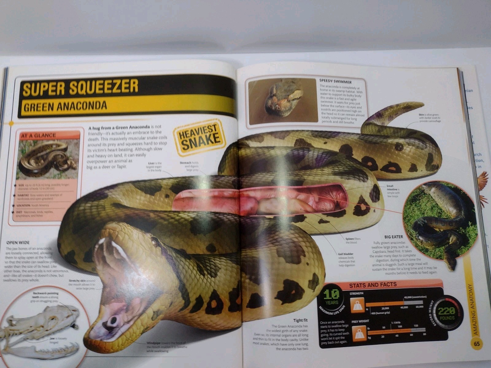 DK Smithsonian Institution Super Nature Encyclopedia 1st Ed 2013 Hardcover