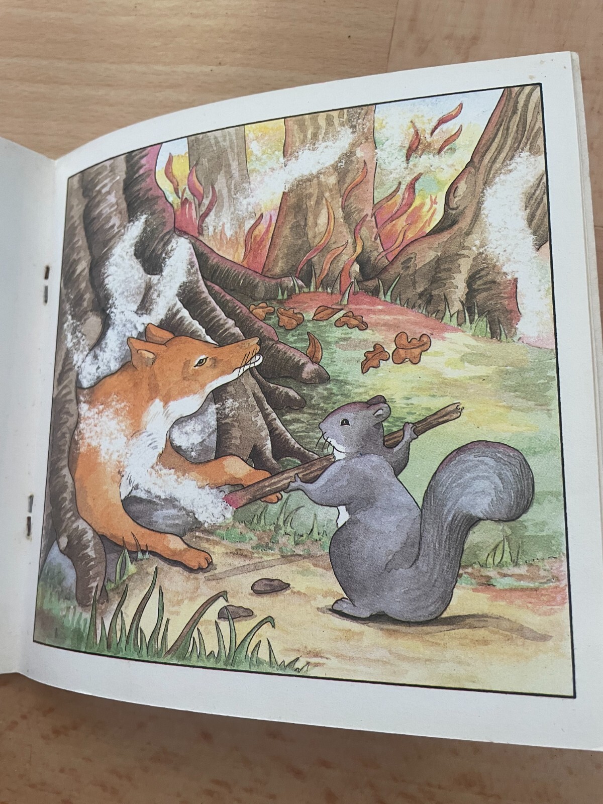 MURIEL MILLER. THE WOODLANDERS. PANIC IN THE WOODLAND. 17 BY 17 CM. 0906791472