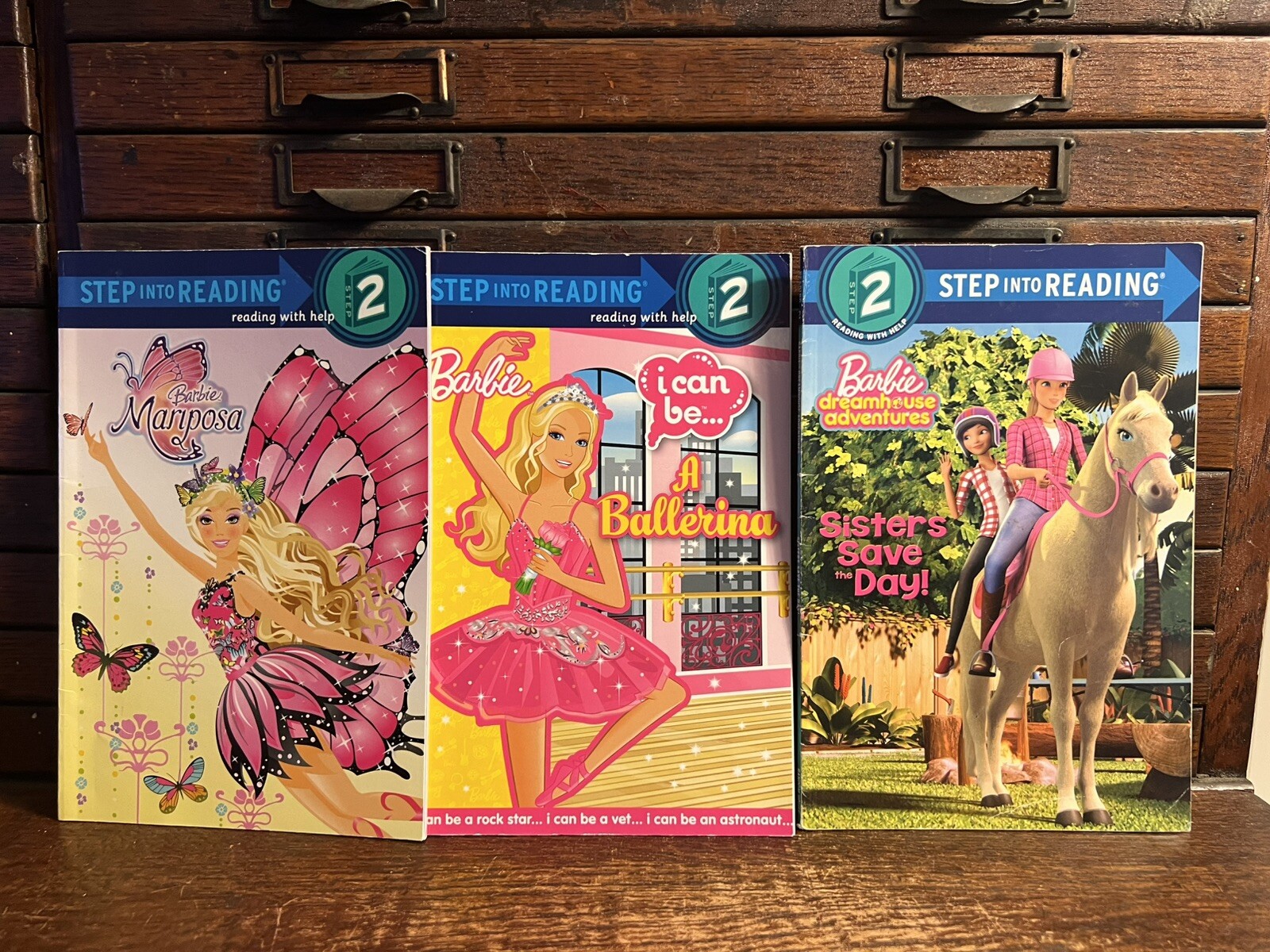 Lot of 19 Barbie: 18 Books, Xmas DVD; Step Reading 2 3; Golden; Fashion, Puppies