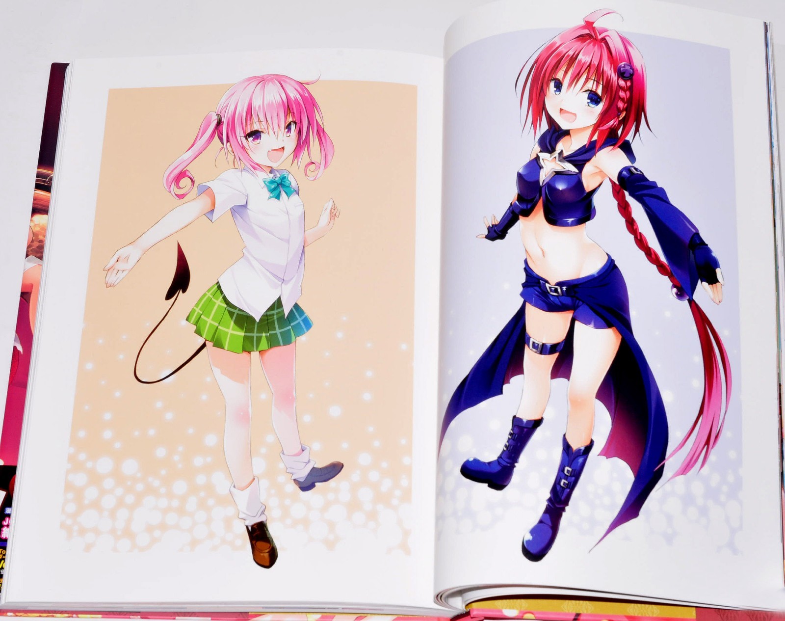 To Love-Ru Darkness Harem Gold Art Book Illustrations + Case 10th anniversary JP