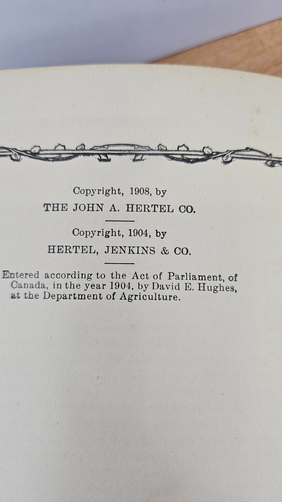 1904 “Bible Symbols or The Bible in Pictures” by Frank Beard Antique
