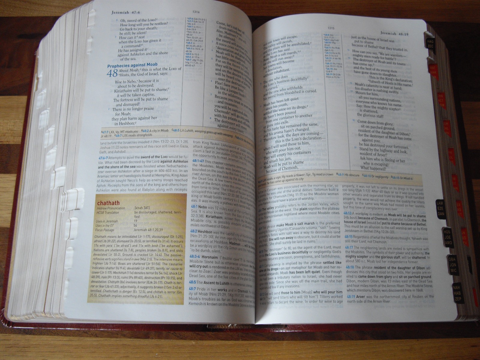 Brown Simulated Leather (LeatherTouch) HCSB Study Bible Personal Size CSB