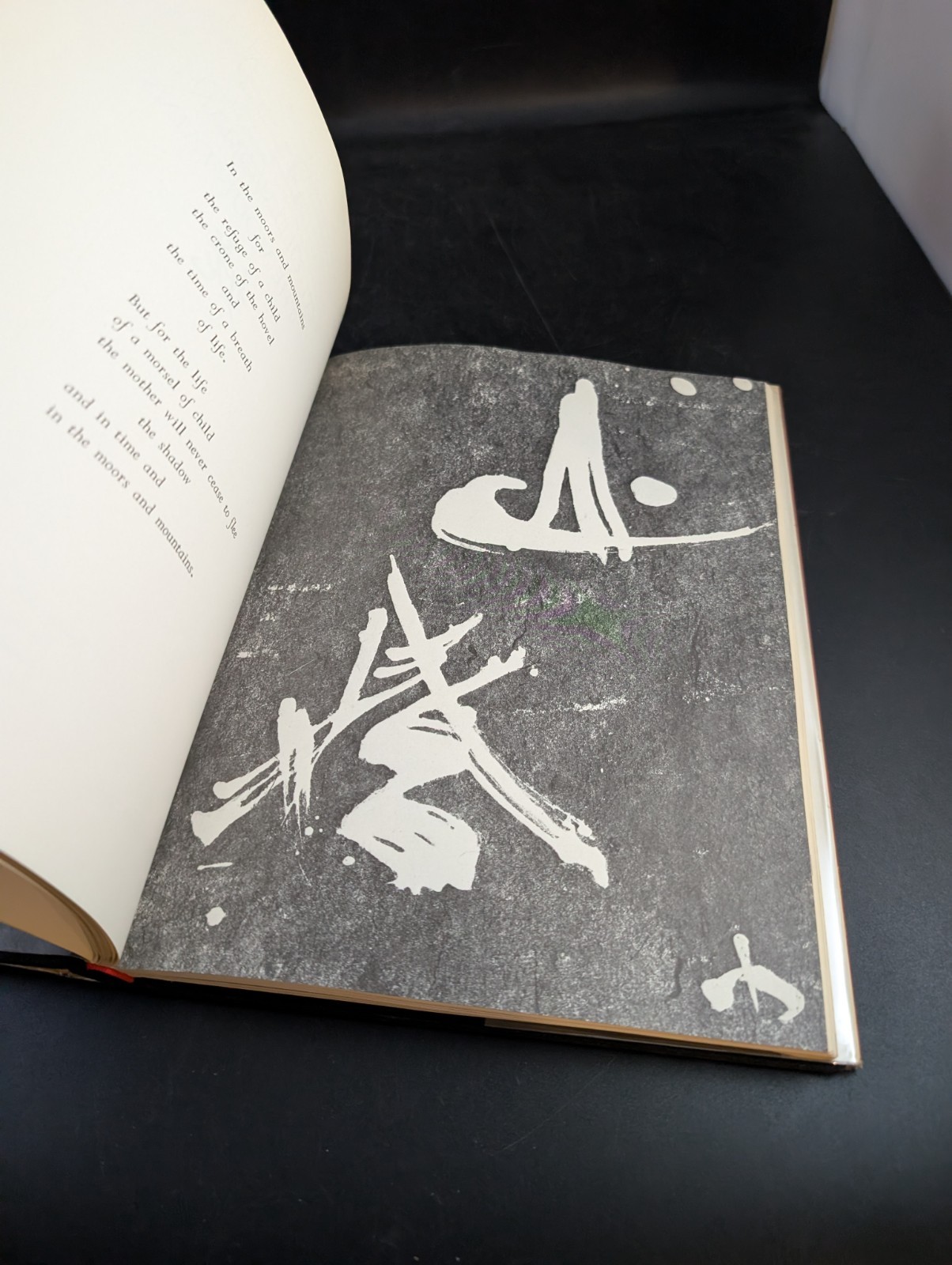 The Mystery of Things Japanese Supernatural Book Patrick Le Nestor 1972 LS
