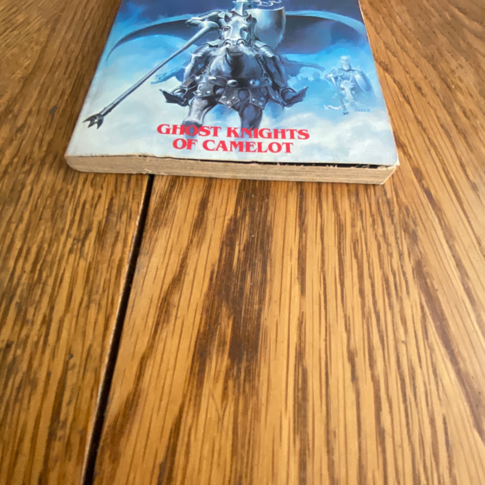 Ghost Nights of Camelot Wizards Warriors & You Series Book 4 Vintage 1980s