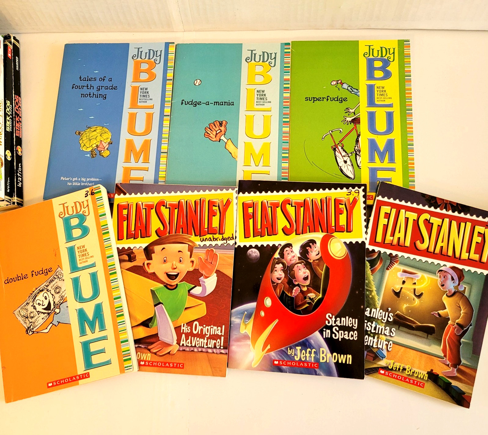 Boys 3rd/4th/5th/6th Grade Chapter Books Lot of 42 Homeschool PB Scholastic